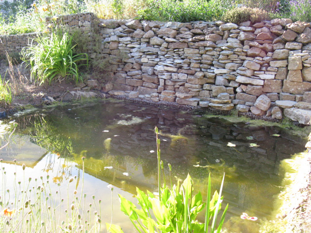Feuchtbiotop Im Garten Anlegen 1000 Garten Design Ide